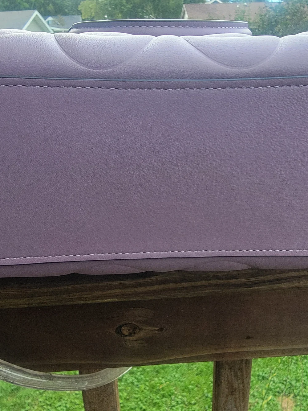 Coach Mollie Mini Lilac Signature Leather Tote